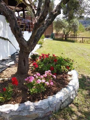 Ases Villa Lagonisi Halkidiki Ормос-Панагіас Екстер'єр фото
